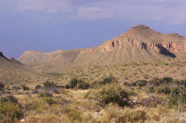 Chihuahua Desert near Sierra Blanca, Texas.