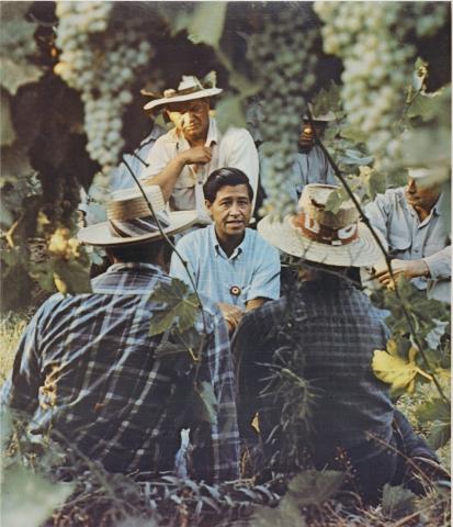 Photo of Cesar Chavez with farm workers in California, ca. 1970.