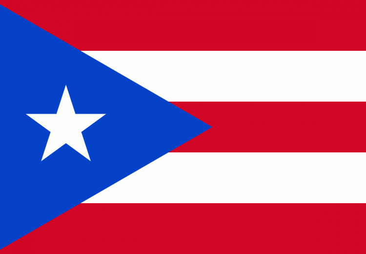 The Puerto Rican flag