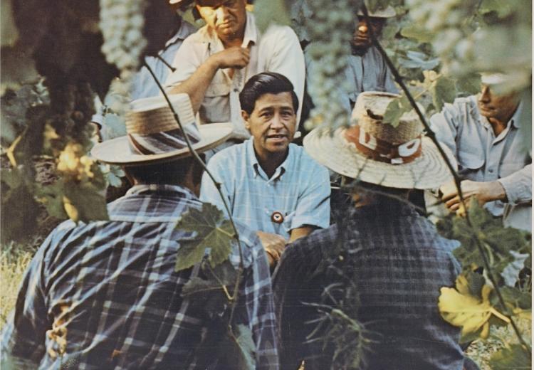 Photo of Cesar Chavez with farm workers in California, ca. 1970.